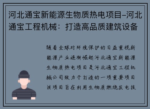 河北通宝新能源生物质热电项目-河北通宝工程机械：打造高品质建筑设备